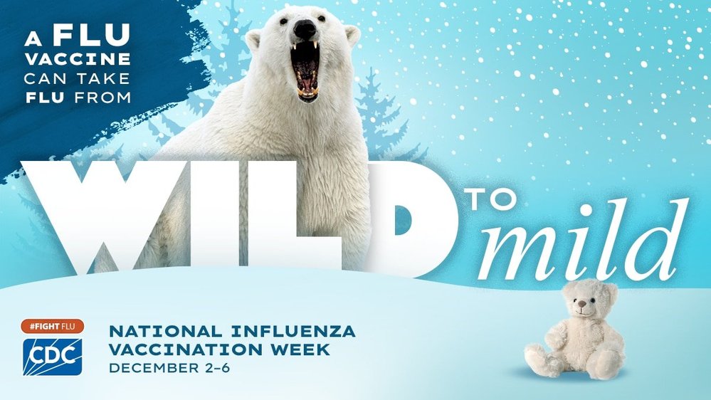 Wild to Mild